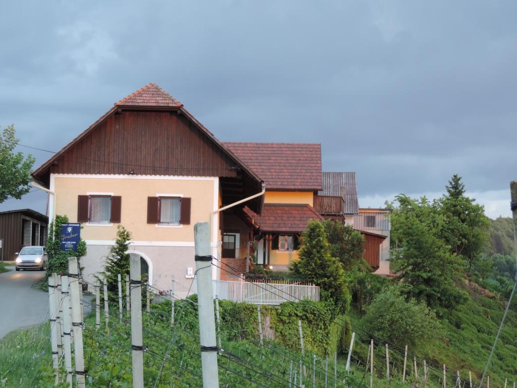 Weingut Gaestezimmer Gruber Еренхаузен Екстериор снимка